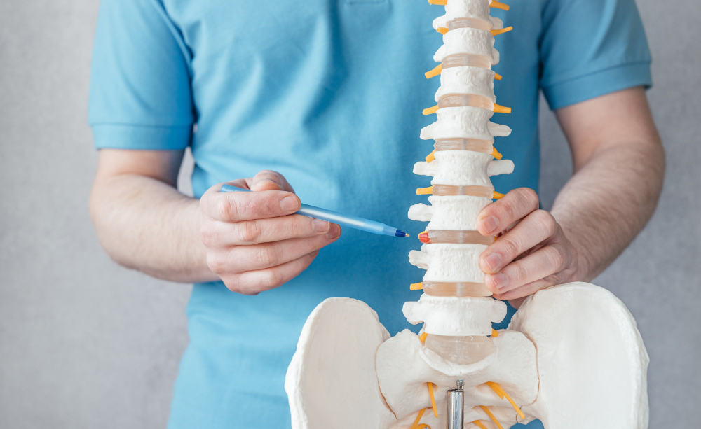 Comprehensive spinal health and wellness treatment